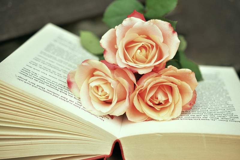 Knowledge Base